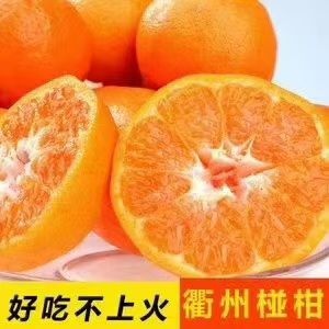  衢州椪柑，经济实惠！
