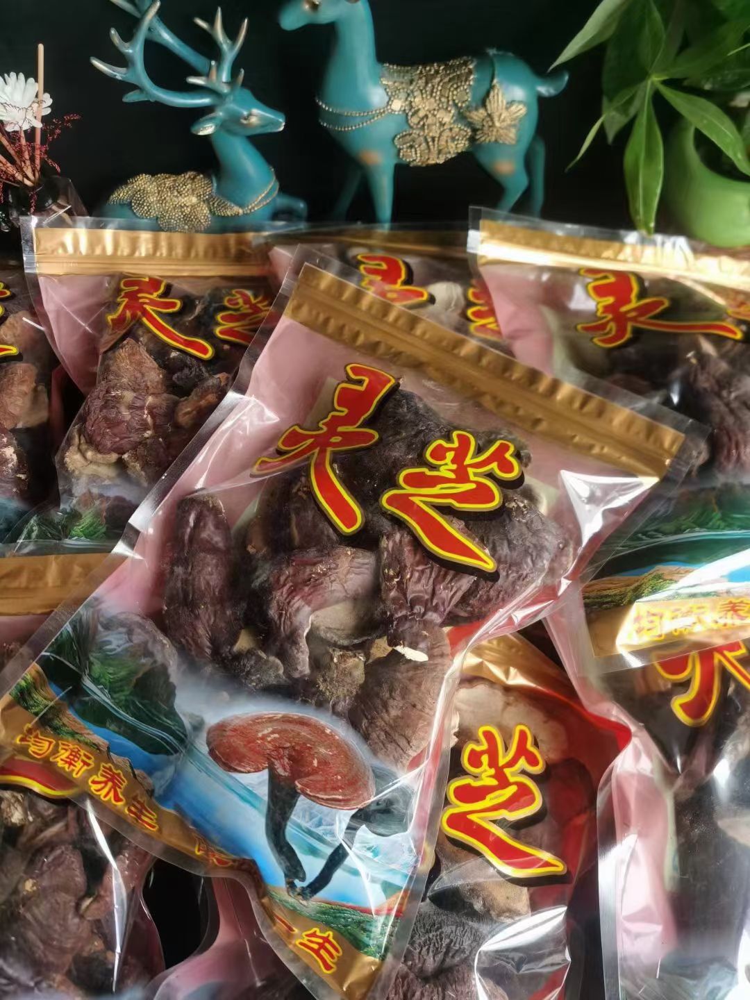 长白山本地灵芝，有自然生长灵芝，和林下灵芝，产地直销！