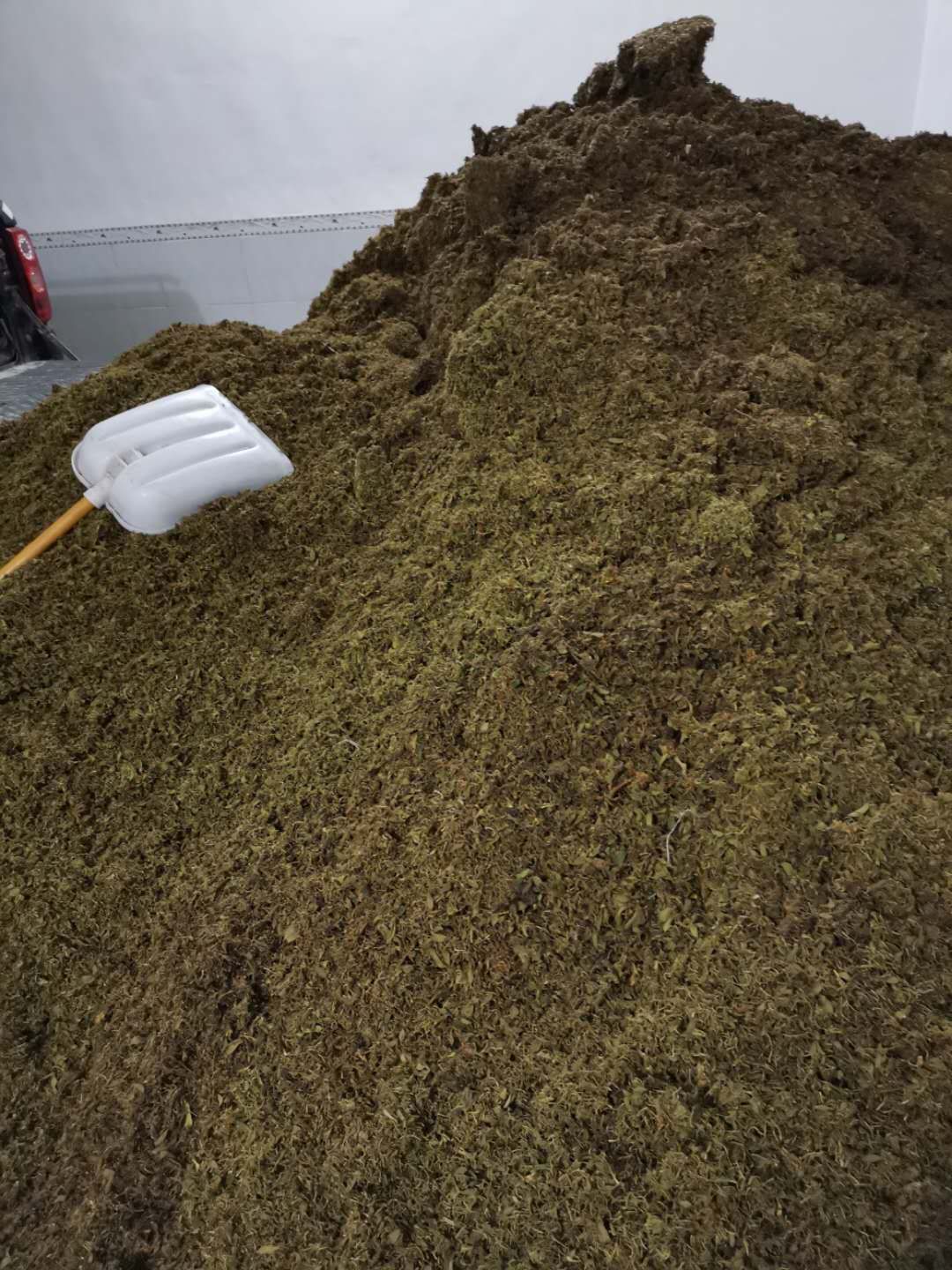 金银花，太阳晒干，药食两用，大量上市，量大从优。