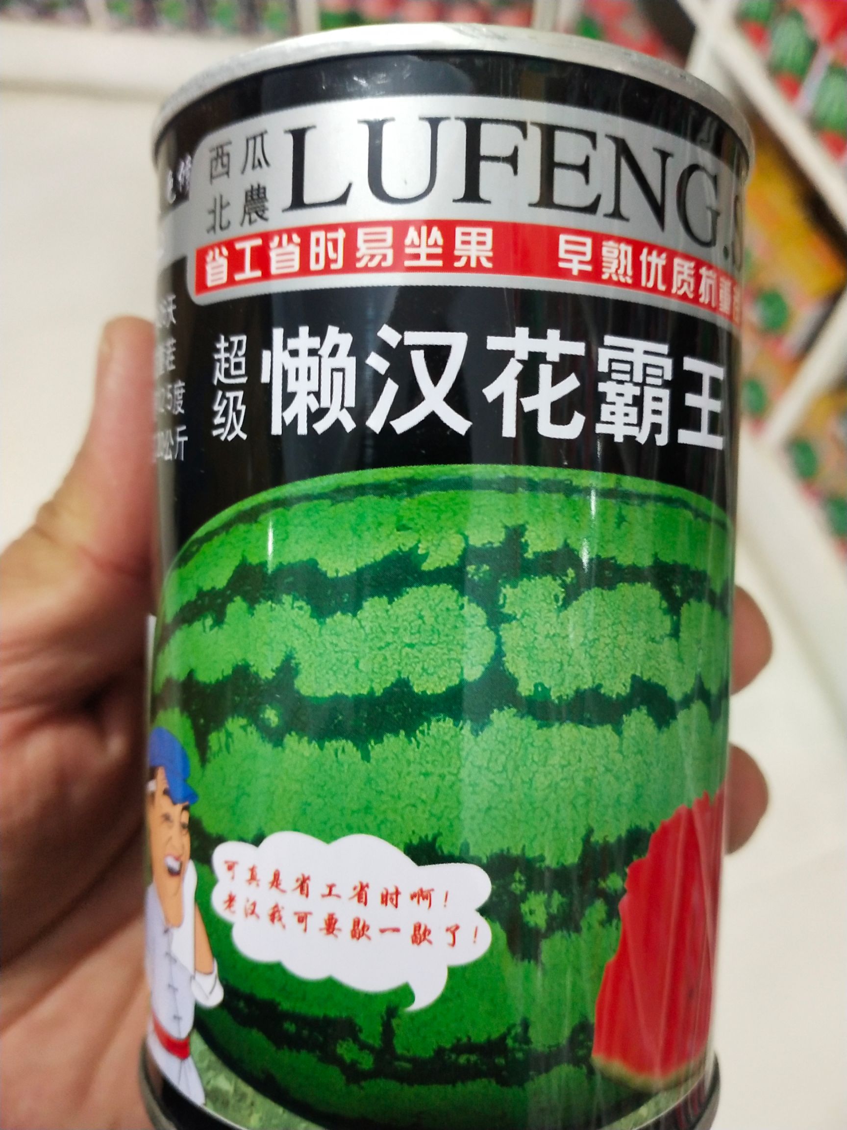 懒汉西瓜种子  懒汉花，早熟26天，抗重茬，糖12.5度