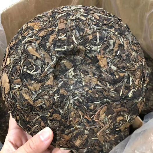 安顺新工艺白茶 恒温长期保存 