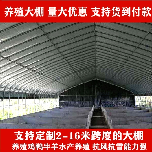 沭阳县大棚骨架  养殖大棚 厂家直销质保十年   可上门安装