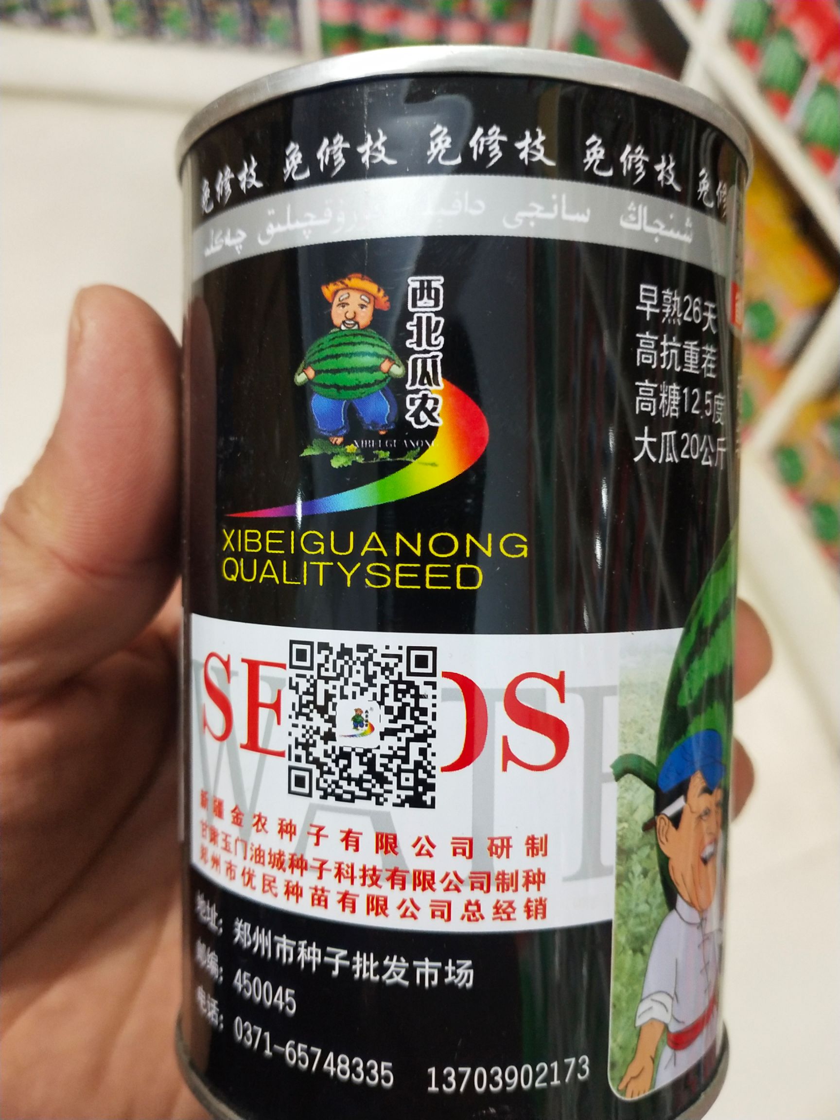 懒汉西瓜种子  懒汉花，早熟26天，抗重茬，糖12.5度