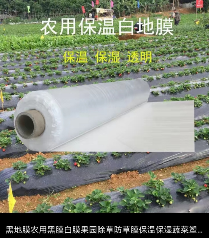 农用黑色地膜白色地膜保温保湿除草规格齐全