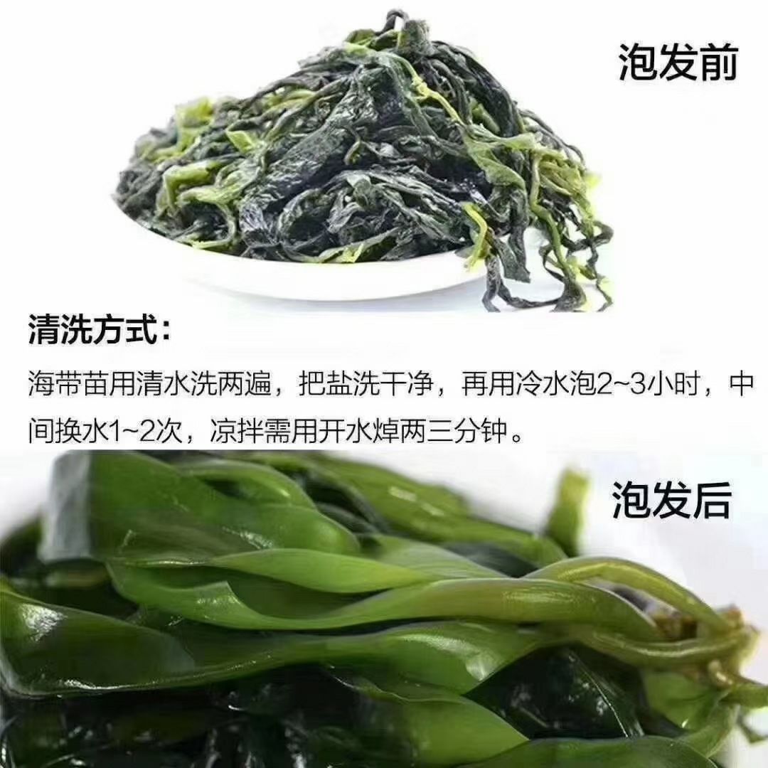 海带芽  海带苗  22年霞浦海带嫩苗盐渍新鲜小海带一斤装彩