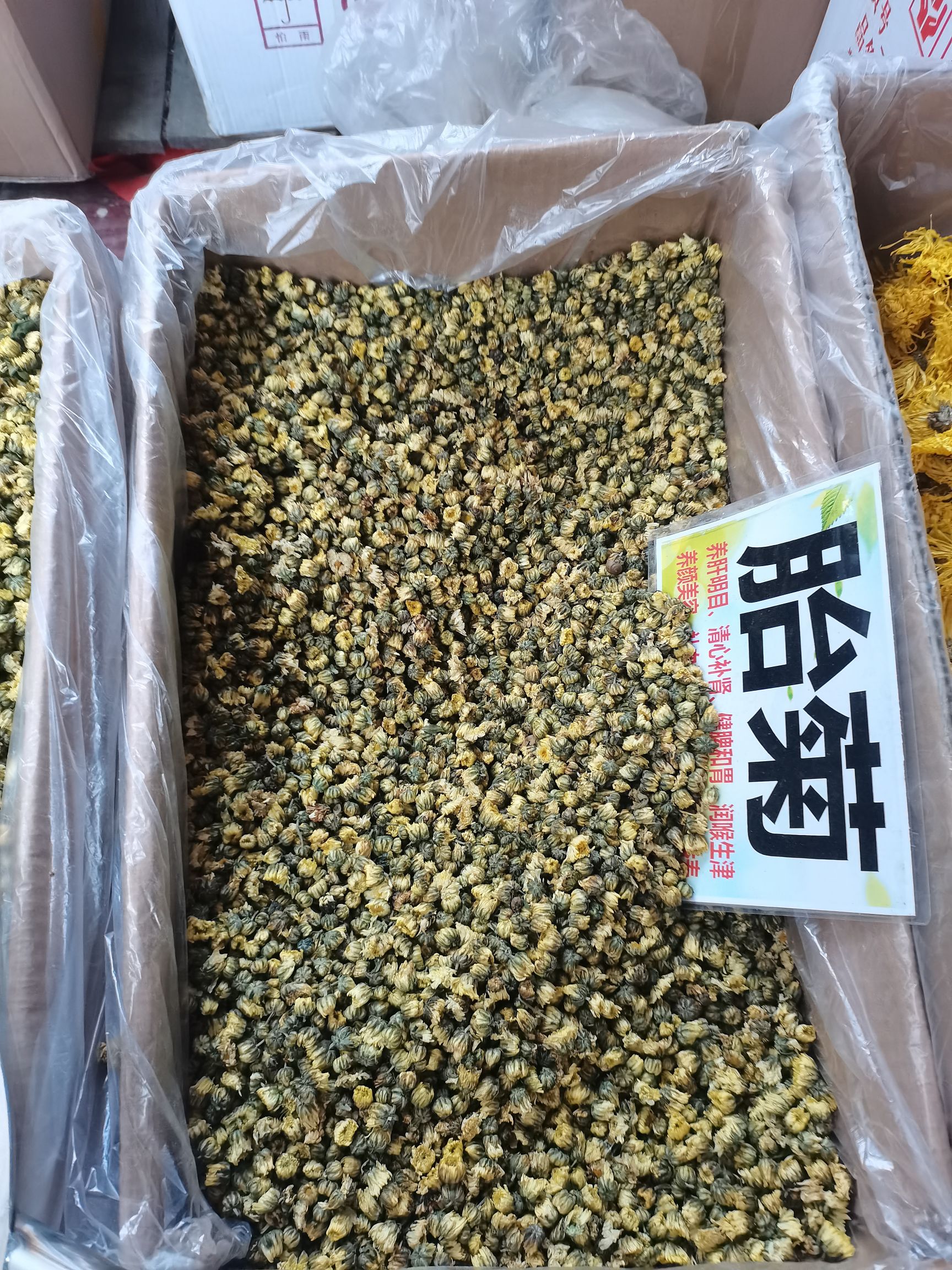 菊花茶  金丝皇菊茶特大杂6-8厘米一杯一杂大货供应批零兼营