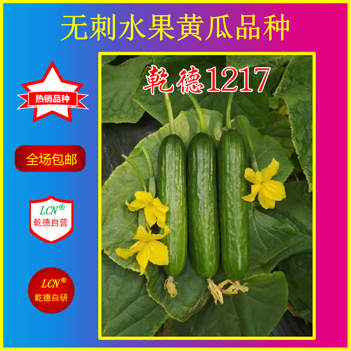 乾德1217黄瓜种子  乾德1217、农业部登记品种、水果黄瓜种子寿光醉美小黄瓜品种