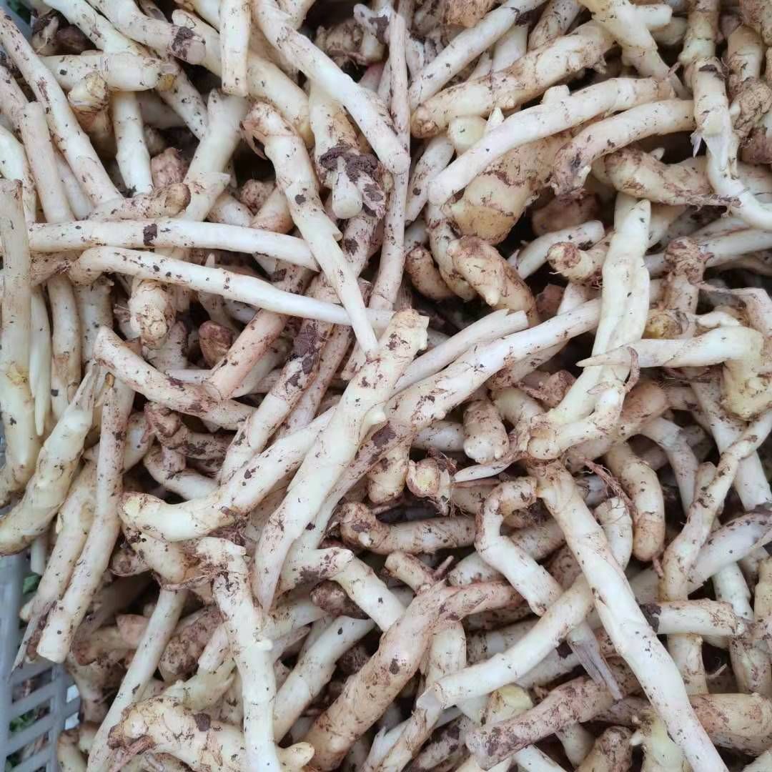 仔姜最大得生姜基地四川，承交线上线下各渠道