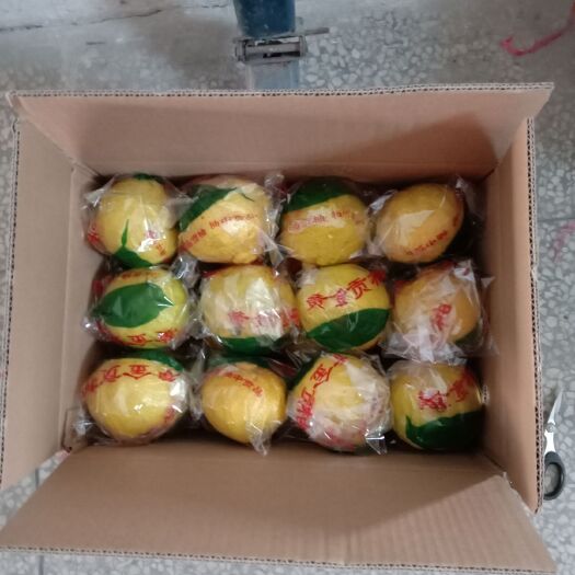 洪江市黄金橙 黄金贡柚，果肉饱满，味道甜美。70果发快递，十斤装60元一件