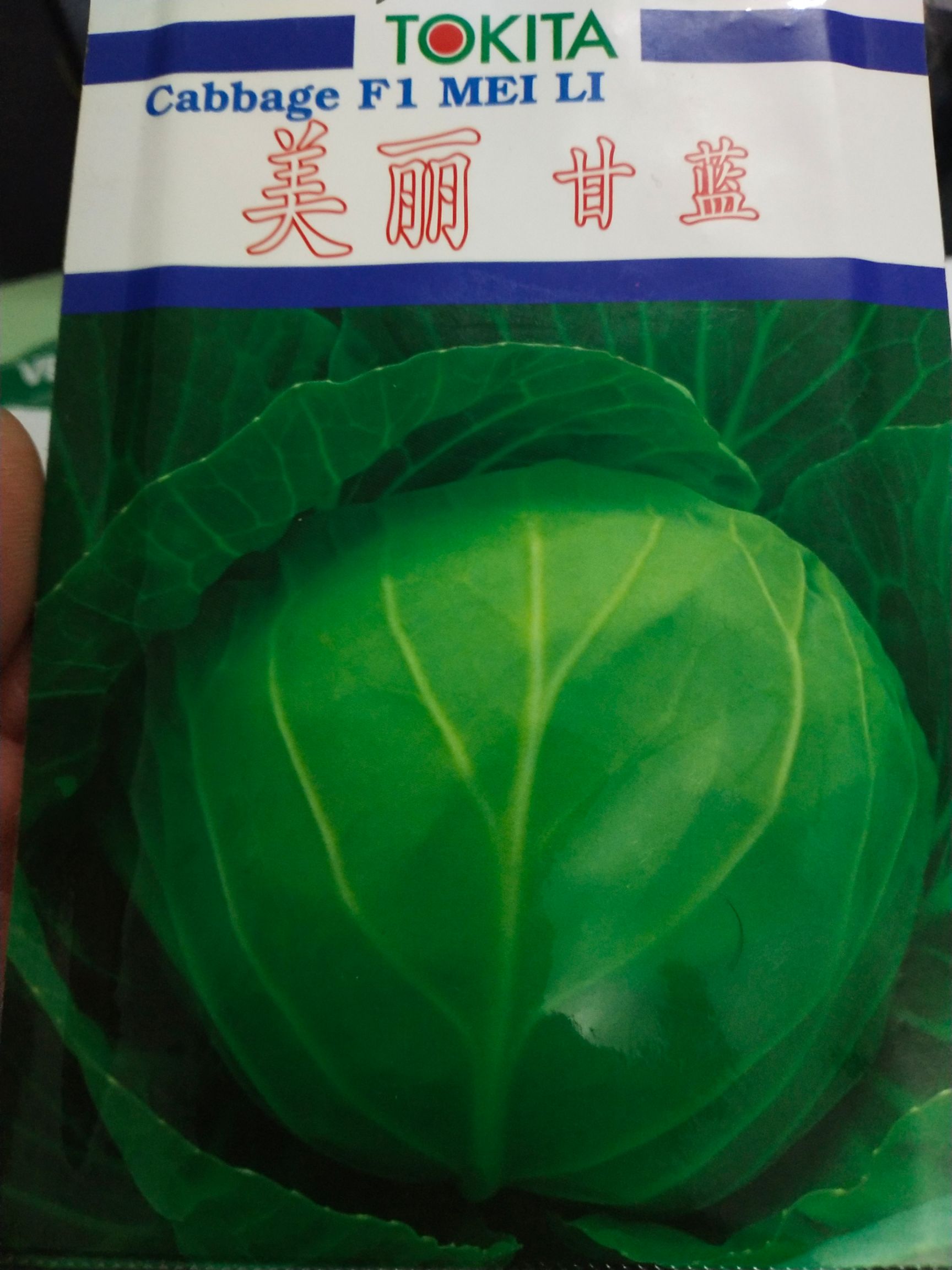 包菜种子 甘蓝种子 叶球为圆球形 球深绿色 紧实 单球重1.