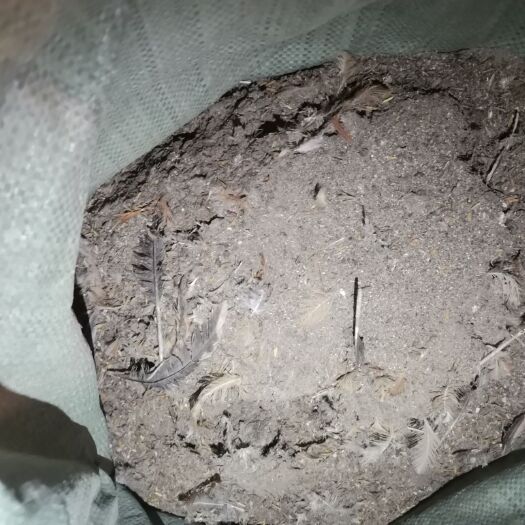 英德市 干爽鸡粪