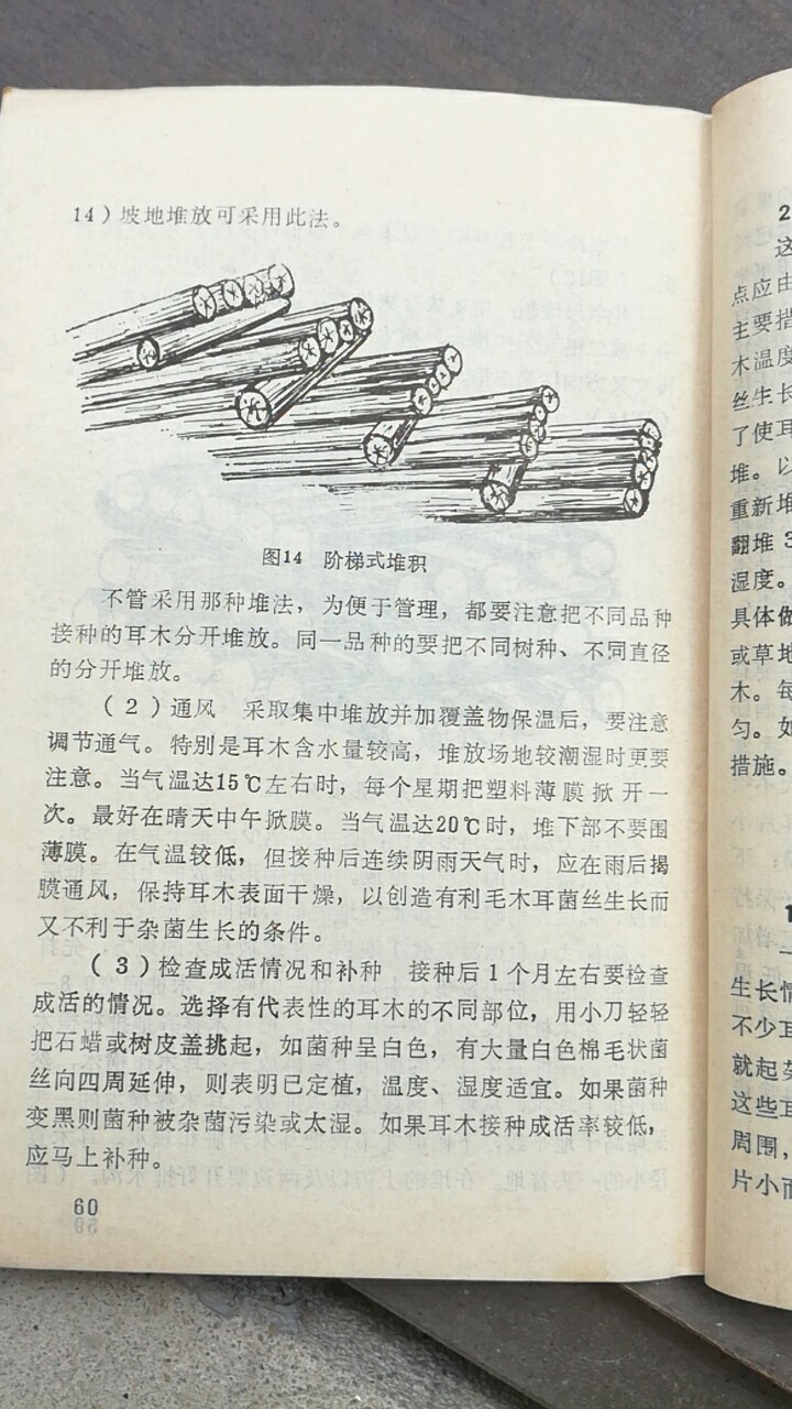 咨询服务  食用菌竹荪香菇木耳大球盖菇赤松首种植技术指导补差价