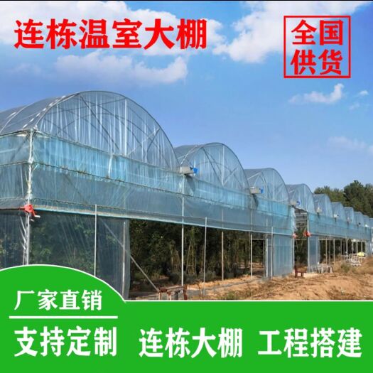 天津种植大棚  薄膜连栋大棚  连体大棚  连栋大棚 葡萄大棚