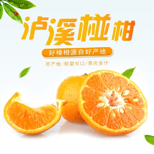 吉首市椪柑 泸溪碰柑，自家果园直销零售10斤装，量大价格详谈，全国包邮