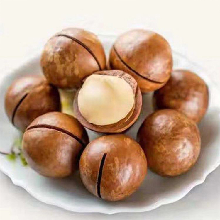 夏威夷果 澳洲坚果