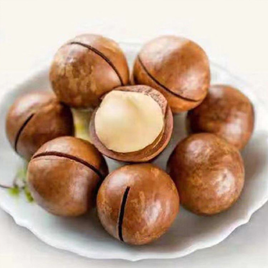 昆明夏威夷果 澳洲坚果