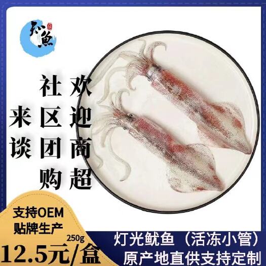 东山县灯光鱿鱼  活冻一口管   原产地直供发货