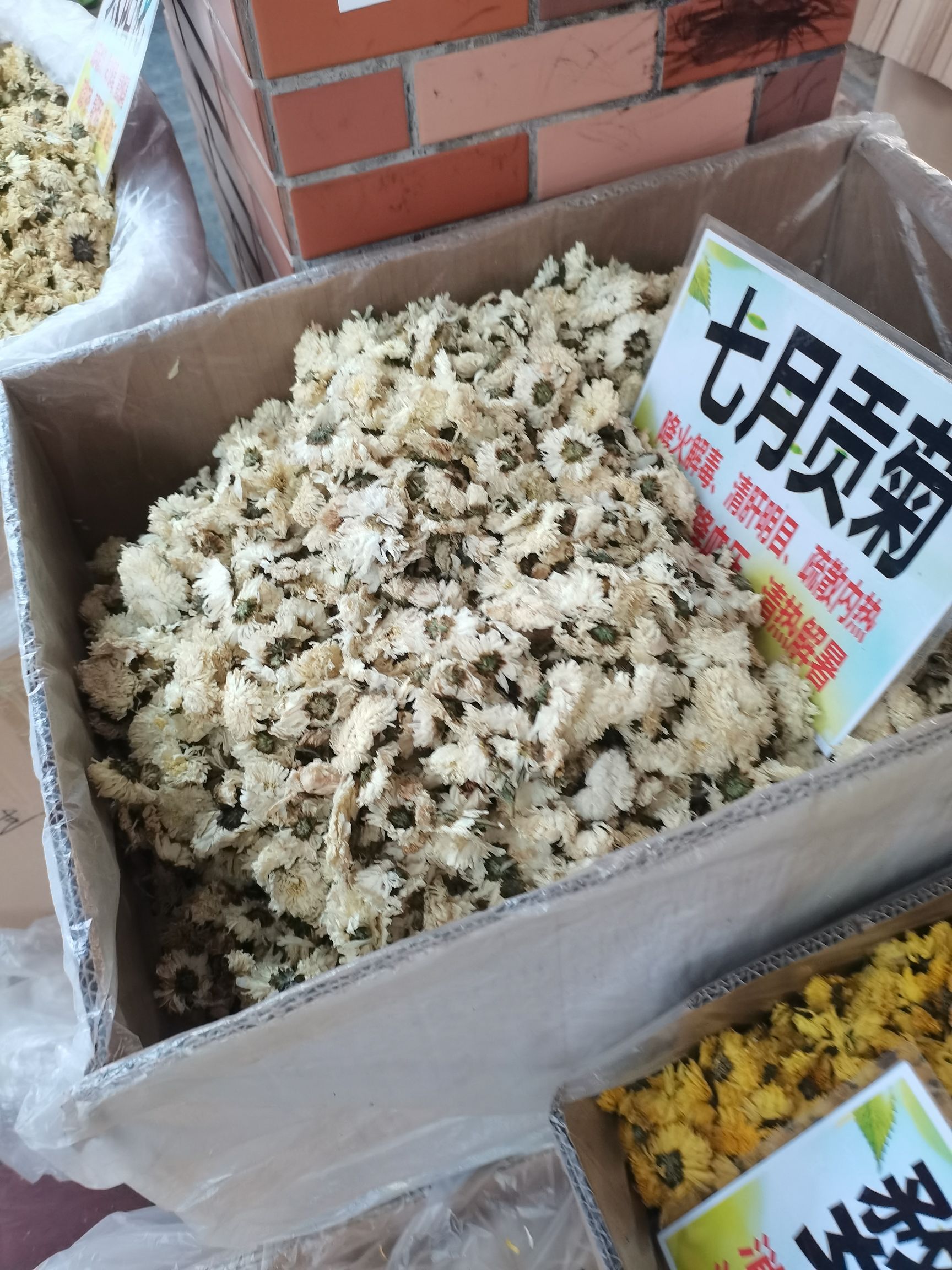 菊花茶  金丝皇菊茶特大杂6-8厘米一杯一杂大货供应批零兼营