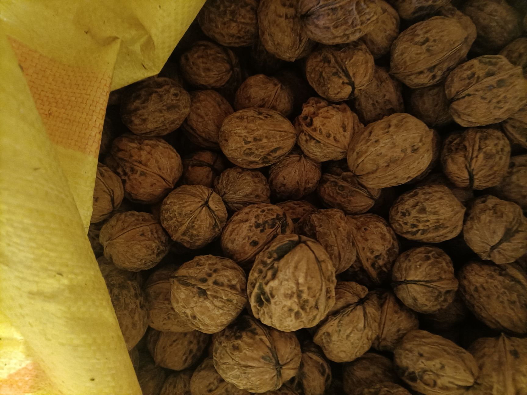 薄皮核桃  四川凉山核桃远离城市烟火，的健康零食，数量不多了