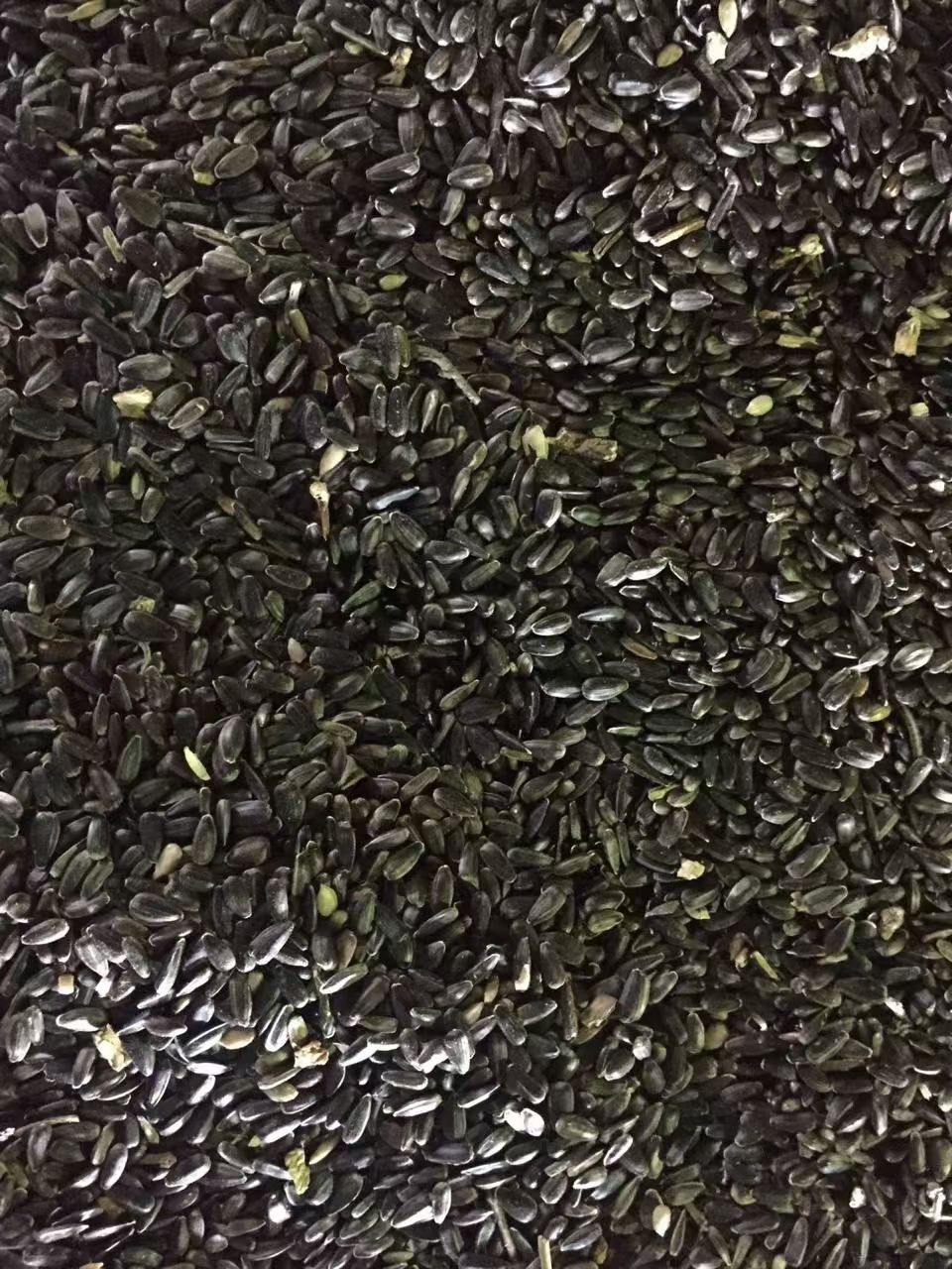 葵花籽 油葵