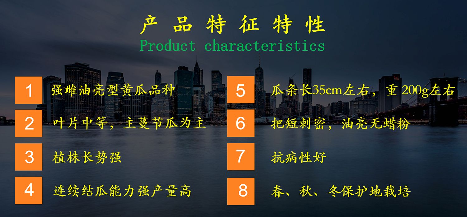 乾德20，强雌油亮，把短密刺，黄瓜种子，春秋冬栽培