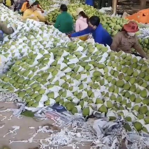 河口县 越南玉芒电商货工厂货都有，货源充足有需要的联系我