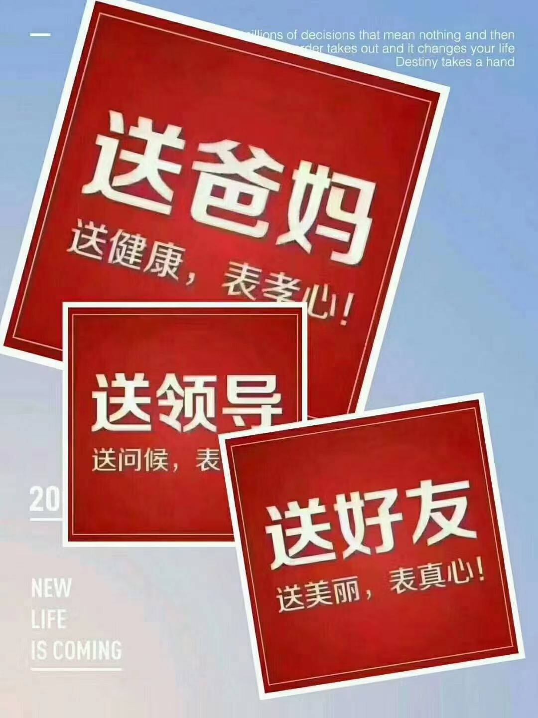 5年生霍山铁皮石斛 基地直供 胶质饱满 品相好