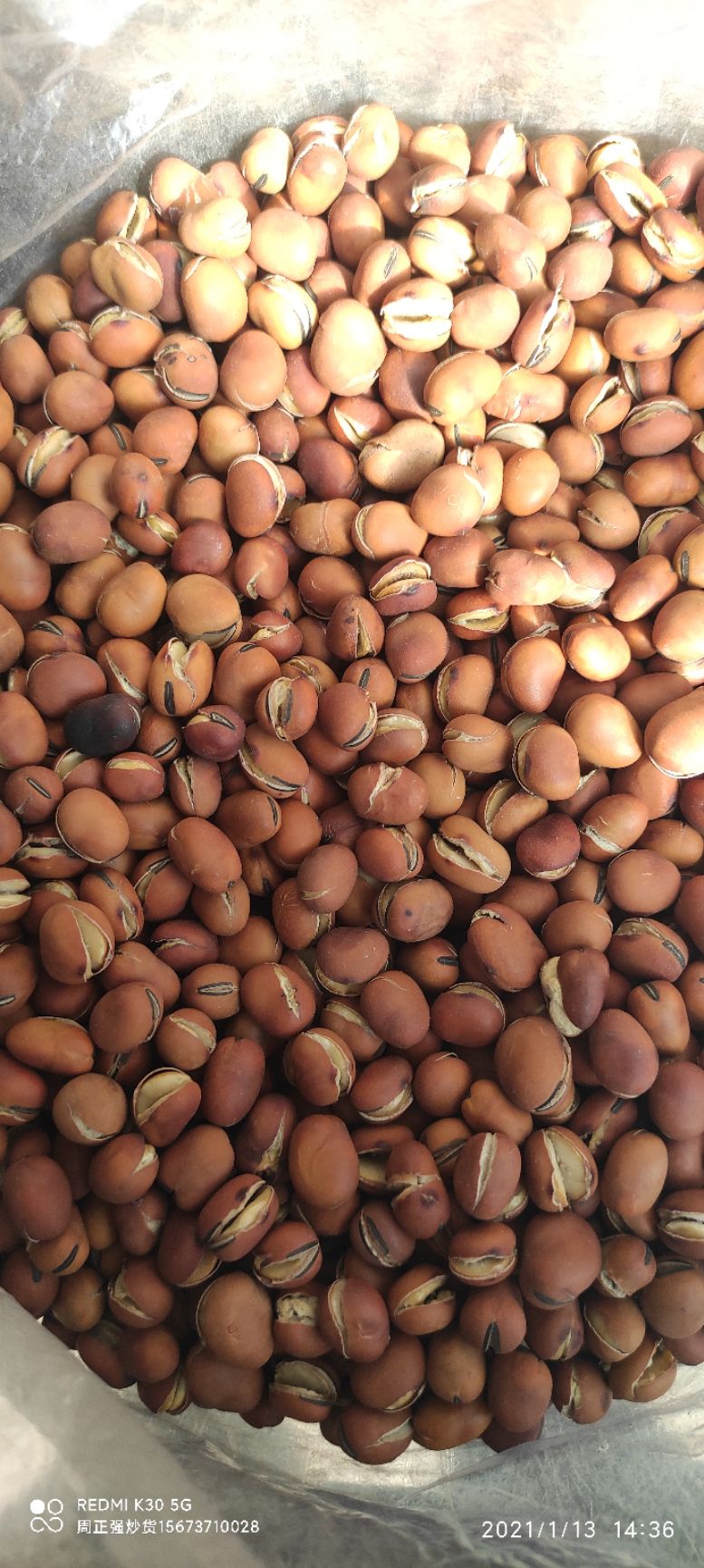 香酥蚕豆  大开口蚕豆 小蚕豆 奶油蚕豆 羊眼豆 龙眼豆