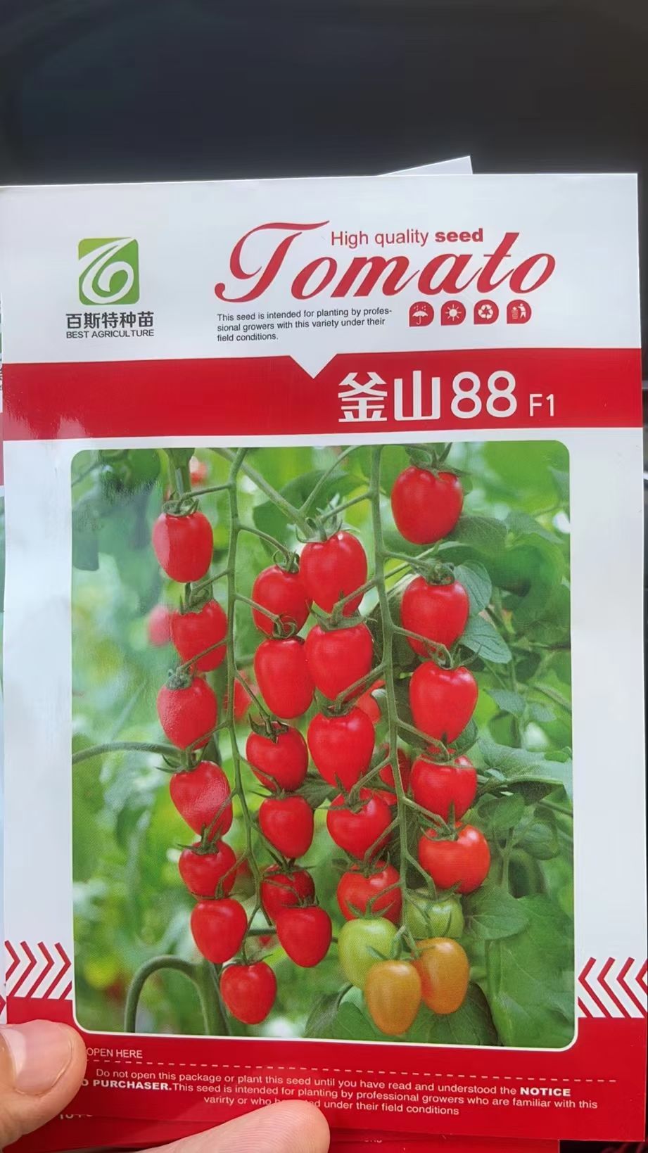 圣女果苗  釜山88小西红柿口感无渣糖度高正品保证直播苗/嫁