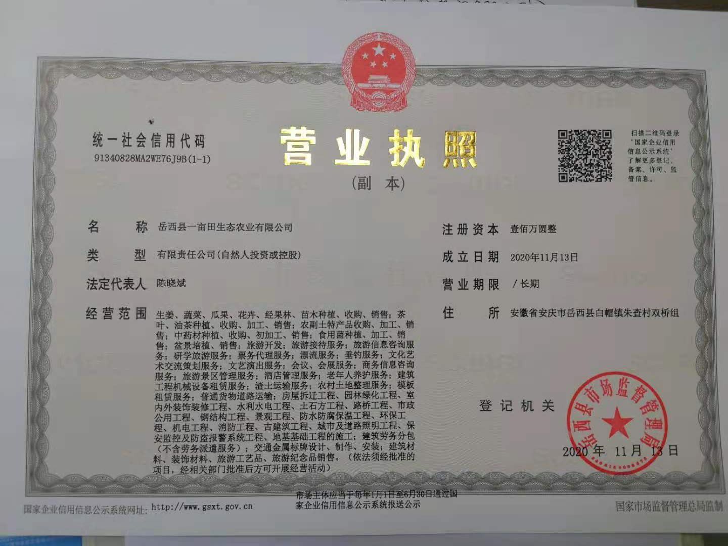 生姜  岳西山地姜 黄姜  常年有货