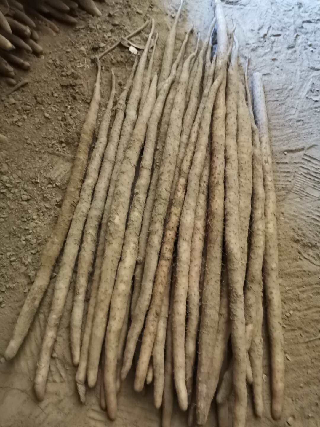 铁棍山药，电商批发商，有粗度有长度，口感面甜，发往全国
