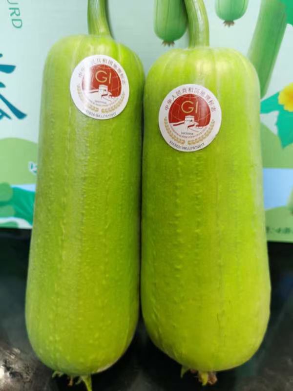 白关丝瓜 ，国家地理标志农产品，产地直供！