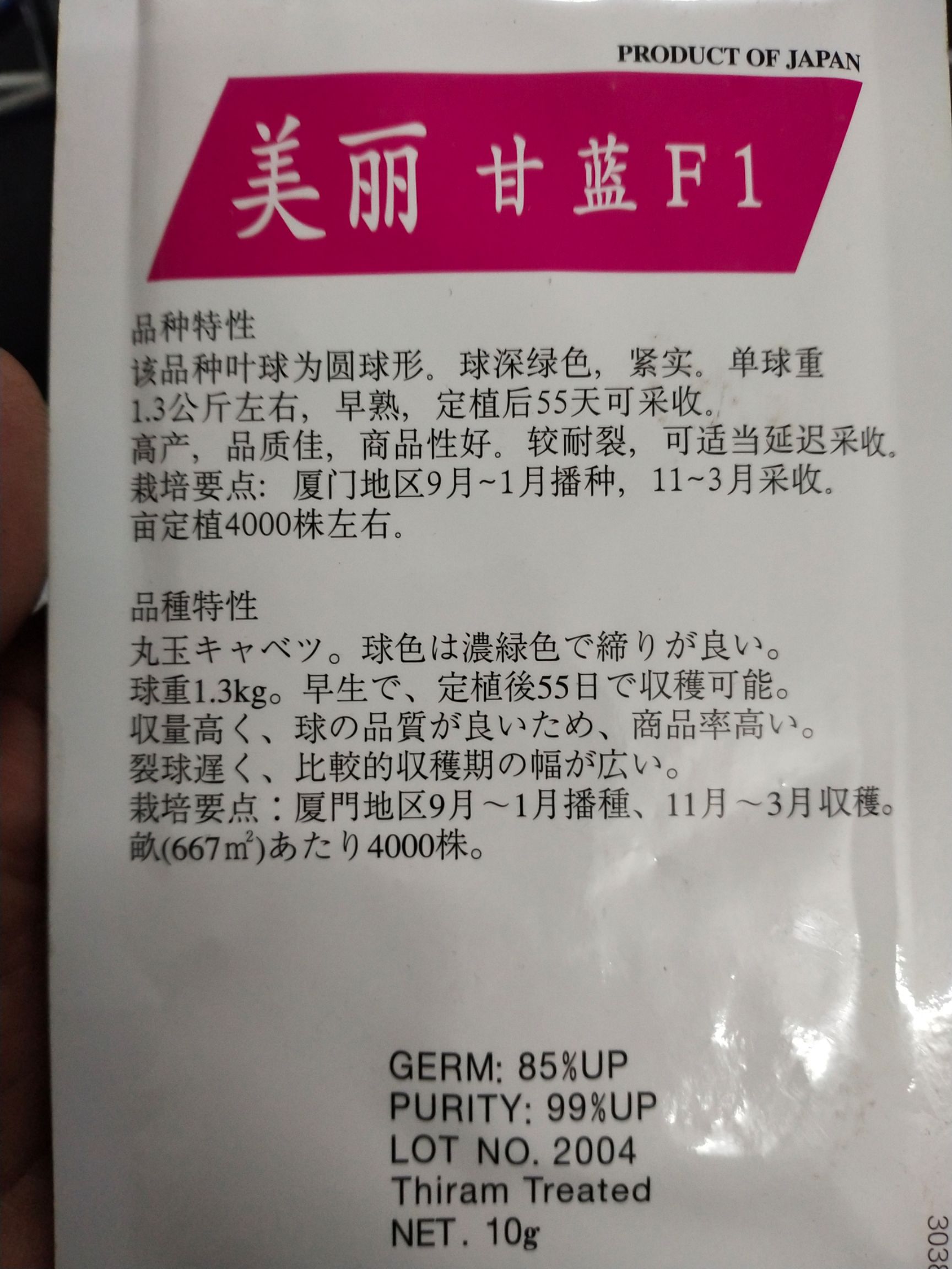 包菜种子 甘蓝种子 叶球为圆球形 球深绿色 紧实 单球重1.