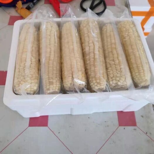 萝北县速冻糯玉米