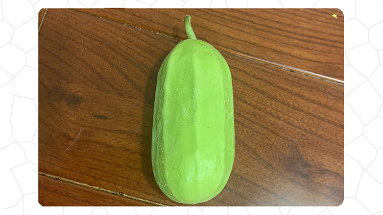 茂华八棱脆菜瓜种子，低糖菜瓜，微甜脆爽，抗病高产