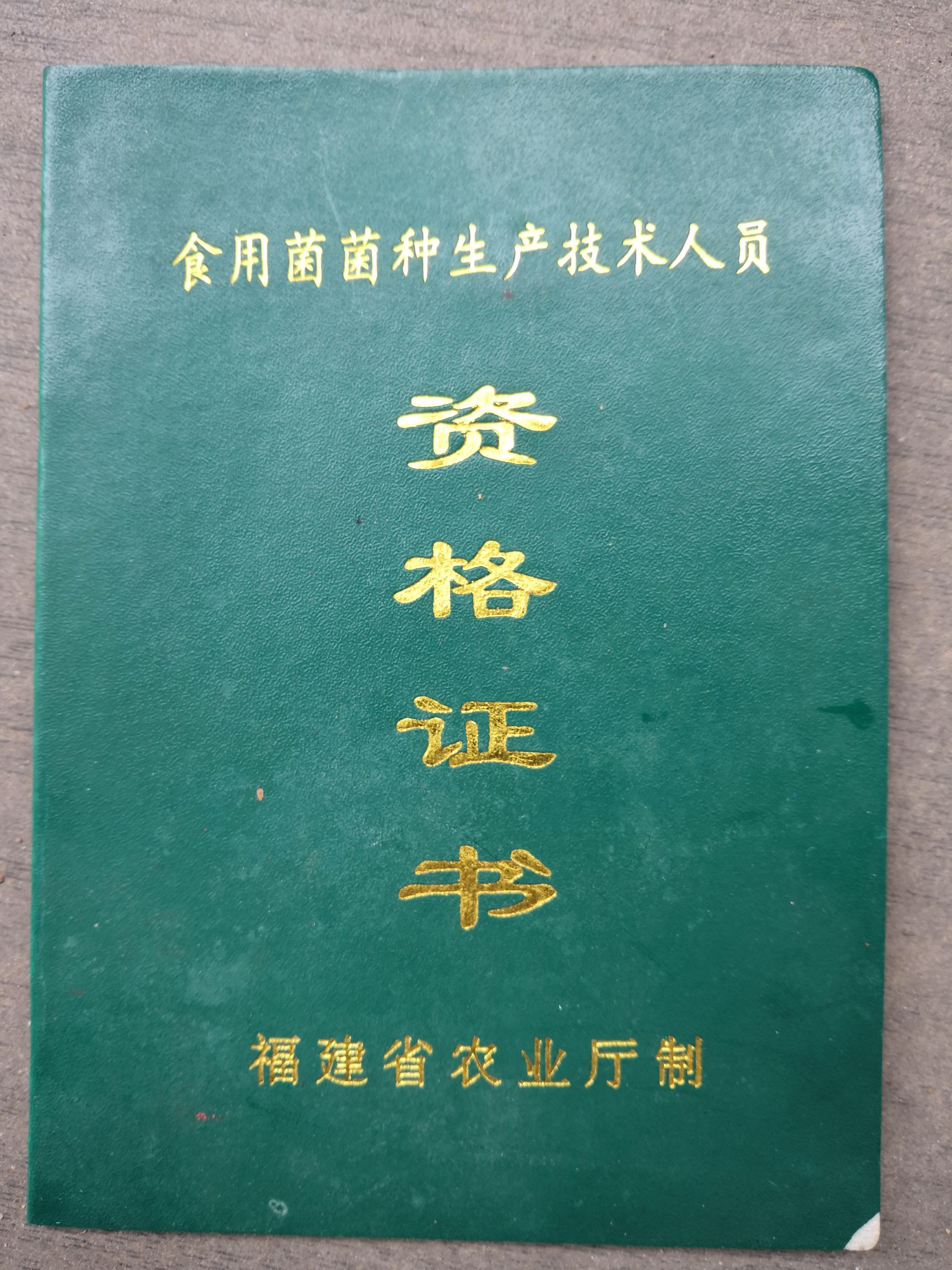 咨询服务  食用菌竹荪香菇木耳大球盖菇赤松首种植技术指导补差价
