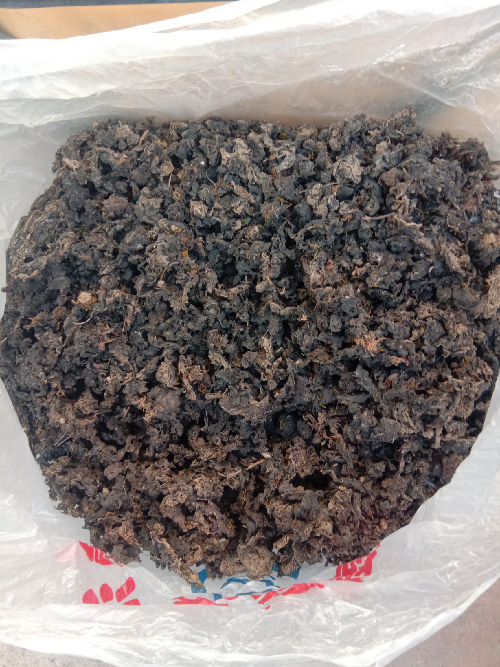 地皮菜  常期供应家乡天然(地串儿)地皮莱