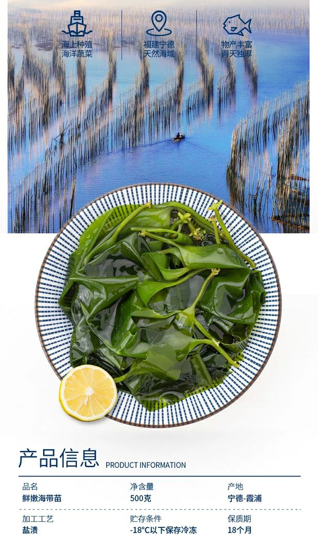 22年霞浦海带嫩苗批发新鲜盐渍海带火锅菜小海带芽海藻一斤装