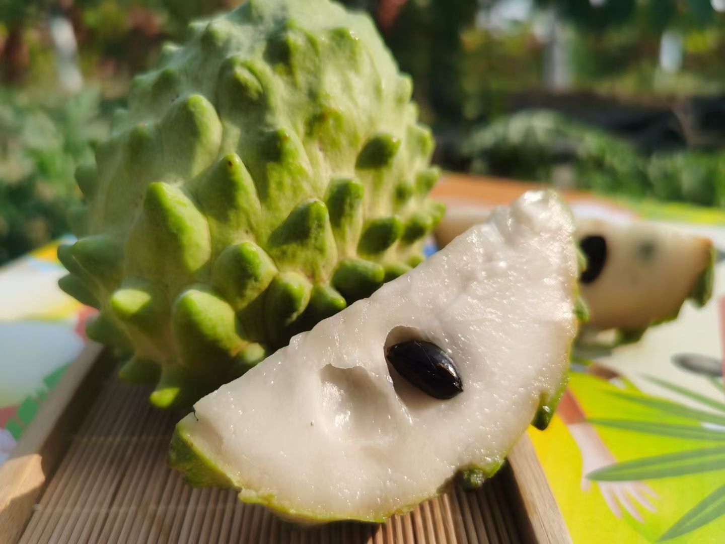 凤梨释迦果 产自干热河谷地带，光照时间长，糖度高