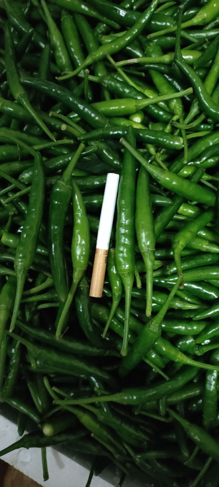 农家自种新鲜小米辣椒青辣椒指朝天椒