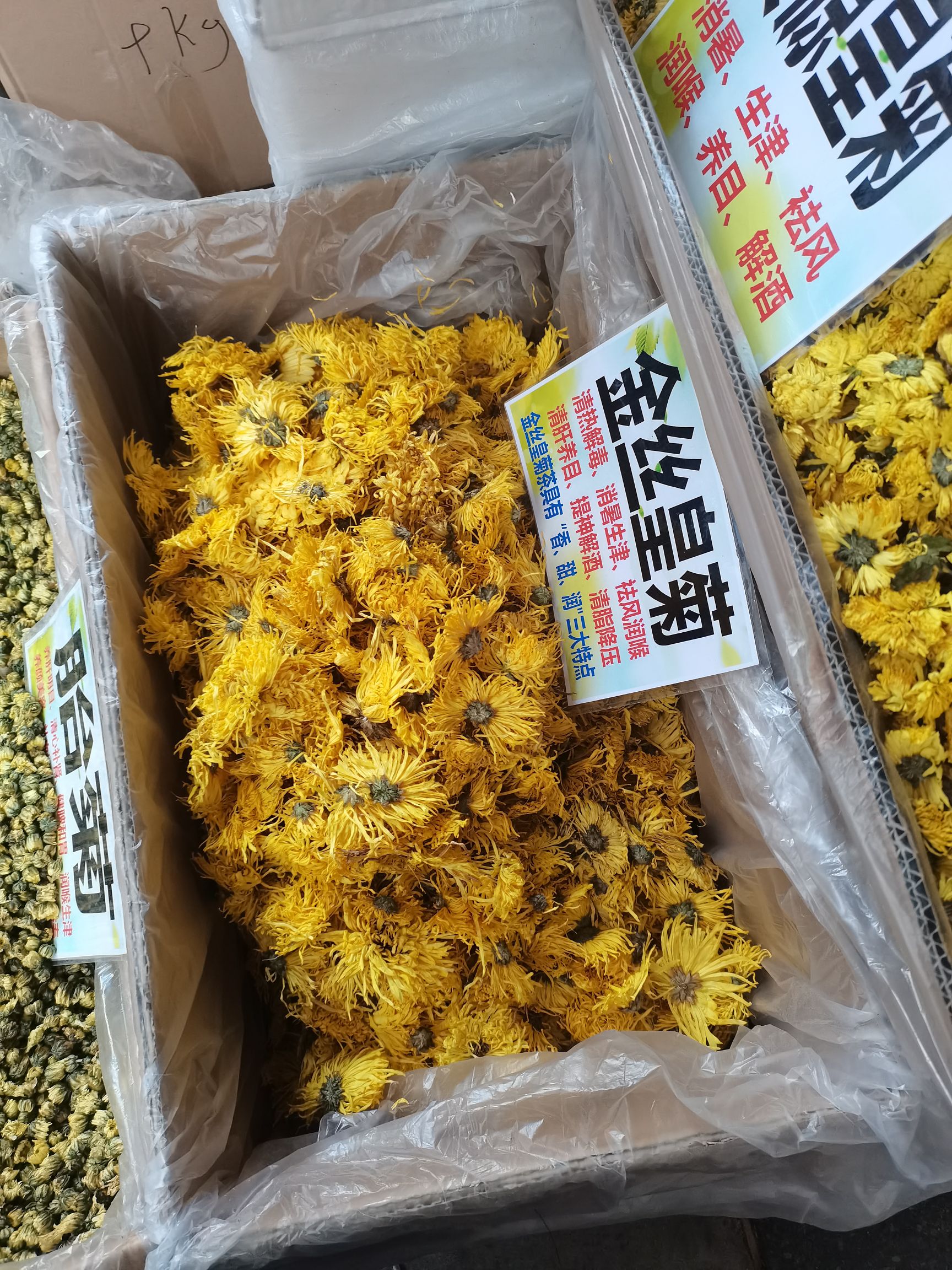 菊花茶  金丝皇菊茶特大杂6-8厘米一杯一杂大货供应批零兼营