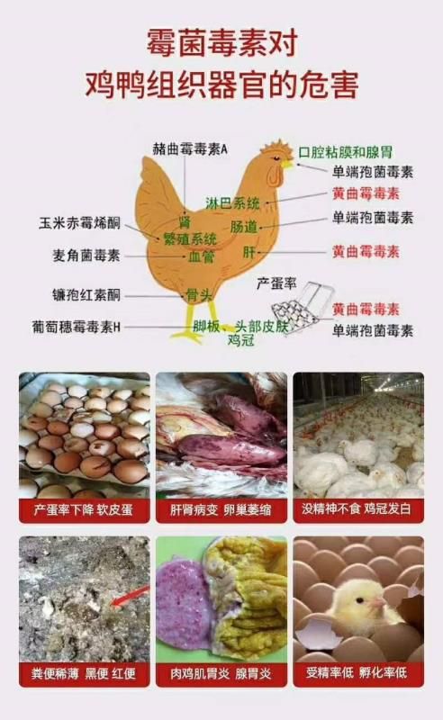 豆粕饲料  中药 微生态 葡萄糖氧化酶脱霉剂