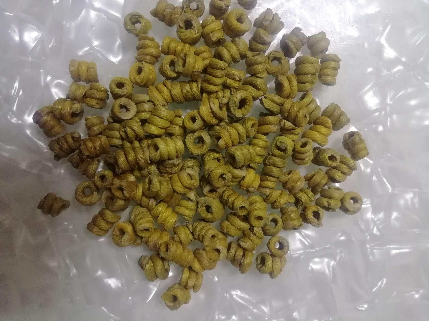 5年生霍山铁皮石斛 基地直供 胶质饱满 品相好