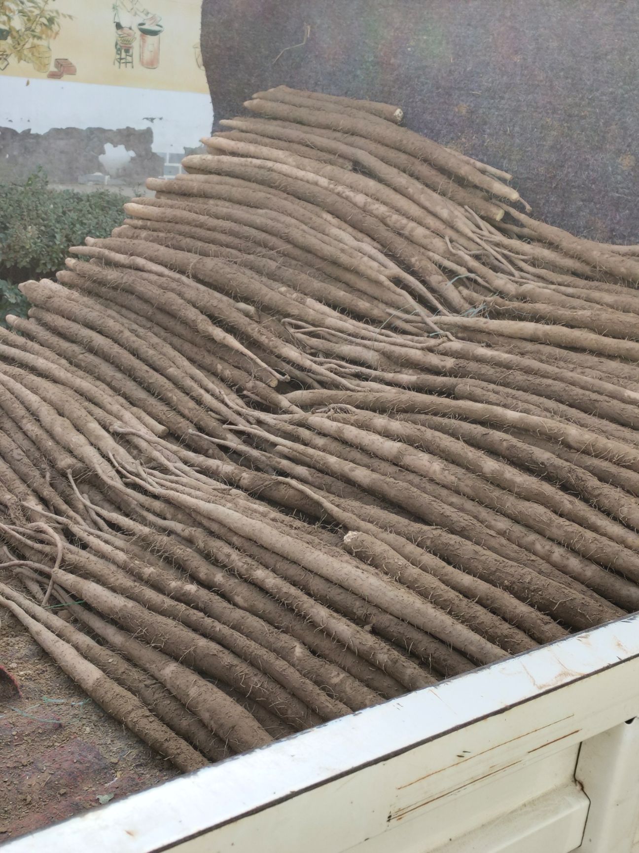 铁棍山药，电商批发商，有粗度有长度，口感面甜，发往全国