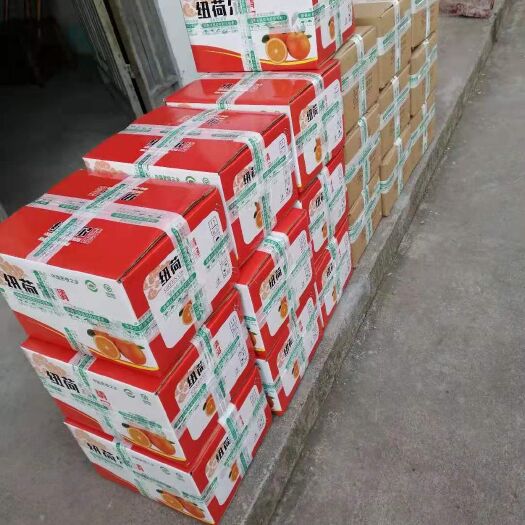 秭归县纽荷尔脐橙 40元10斤顺丰包邮全国 秭归水田坝江边的纽荷尔 非半高山橙