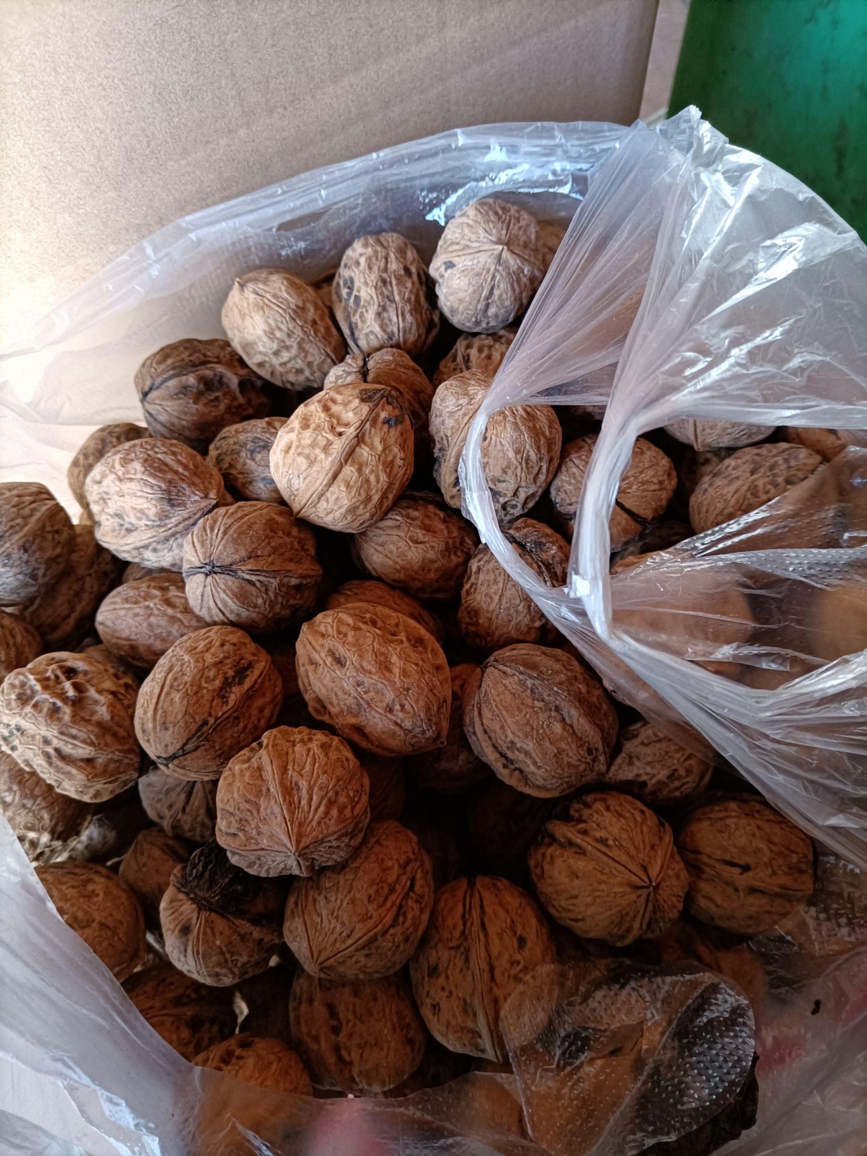 薄皮核桃  四川凉山核桃远离城市烟火，的健康零食，数量不多了