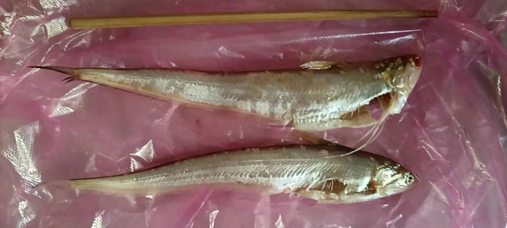 刀鱼需要可以聊聊，在徐州地区，交通比较方便