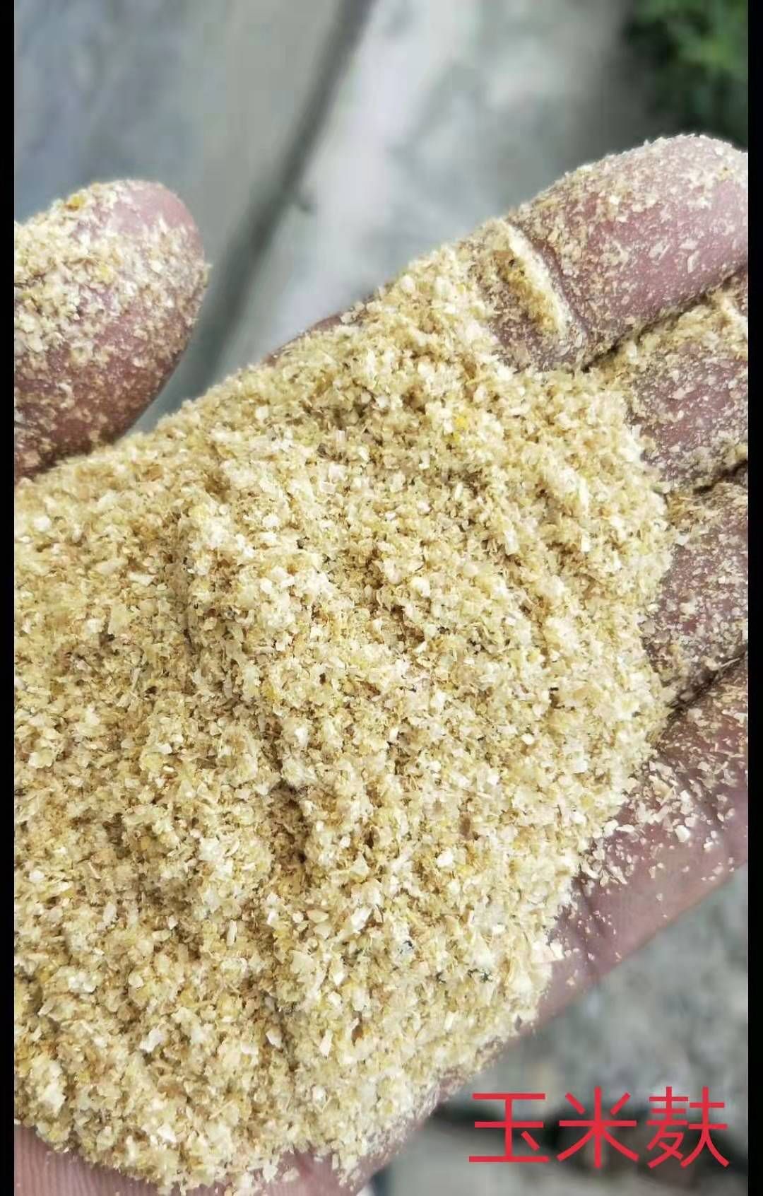 豆粕海藻生物菌肥   菌肥    生物有机肥