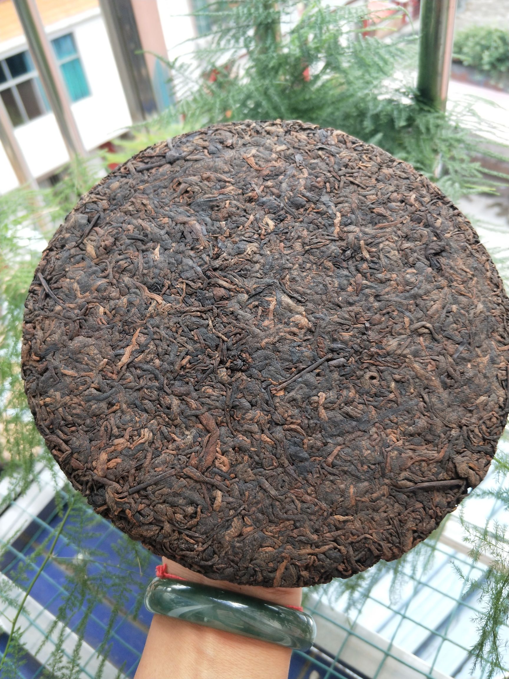 老树普洱 古树熟普，汤色透亮，味道爽口