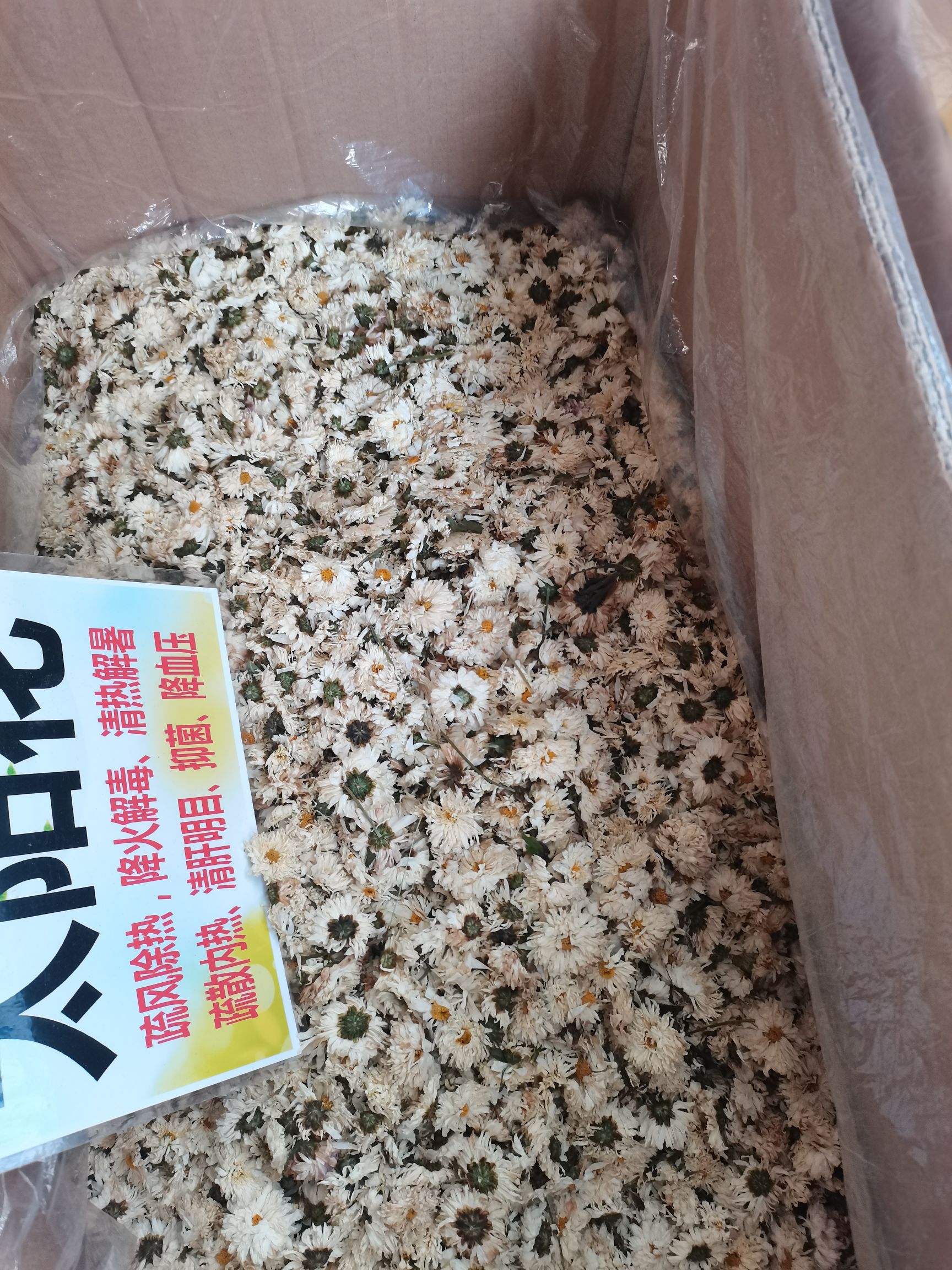 菊花茶  金丝皇菊茶特大杂6-8厘米一杯一杂大货供应批零兼营